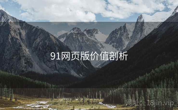 91网页版价值剖析  第2张