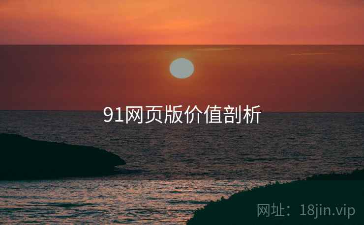 91网页版价值剖析  第1张