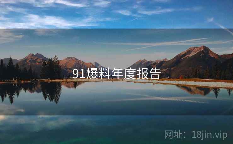91爆料年度报告  第1张