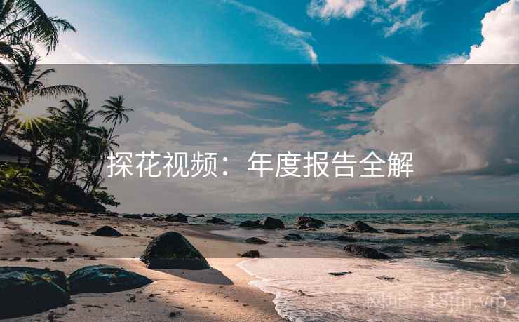 探花视频：年度报告全解  第1张