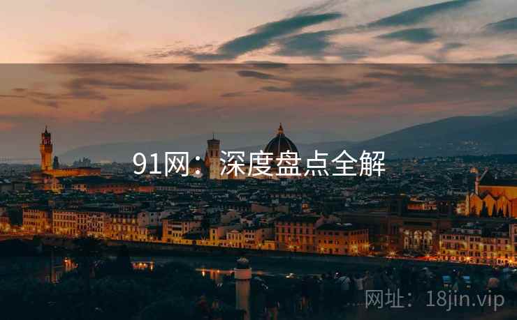 91网：深度盘点全解  第2张