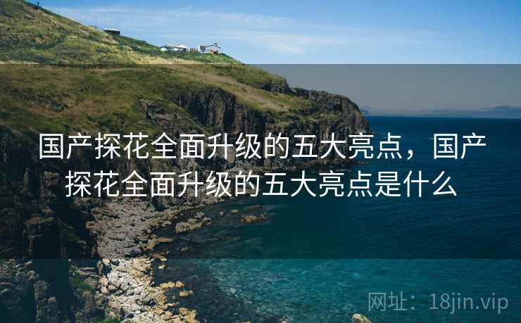 国产探花全面升级的五大亮点，国产探花全面升级的五大亮点是什么  第2张