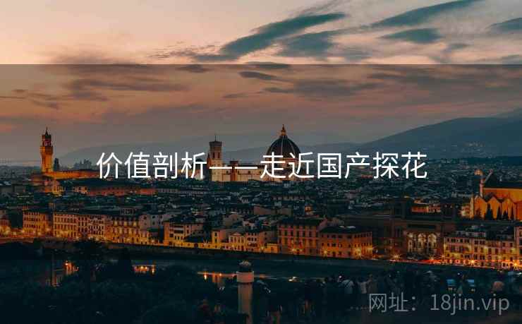 价值剖析——走近国产探花  第1张