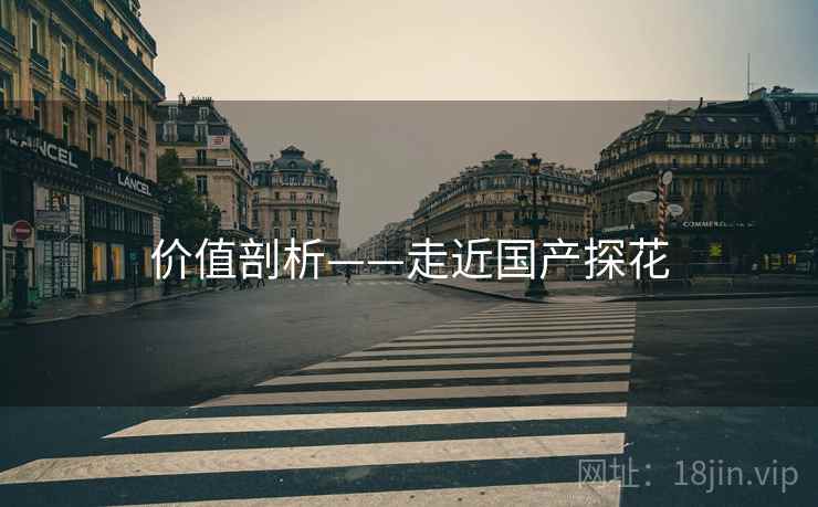 价值剖析——走近国产探花  第2张