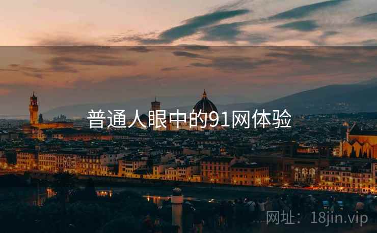 普通人眼中的91网体验  第1张