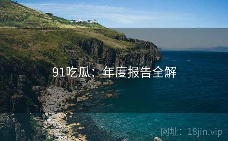 91吃瓜：年度报告全解  第2张