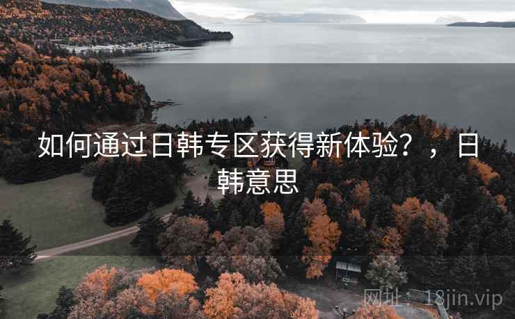 如何通过日韩专区获得新体验？，日韩意思  第1张