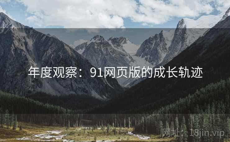 年度观察：91网页版的成长轨迹