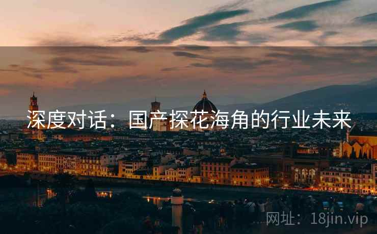 深度对话：国产探花海角的行业未来  第2张