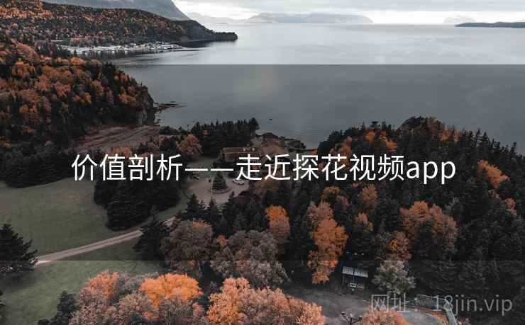 价值剖析——走近探花视频app  第1张