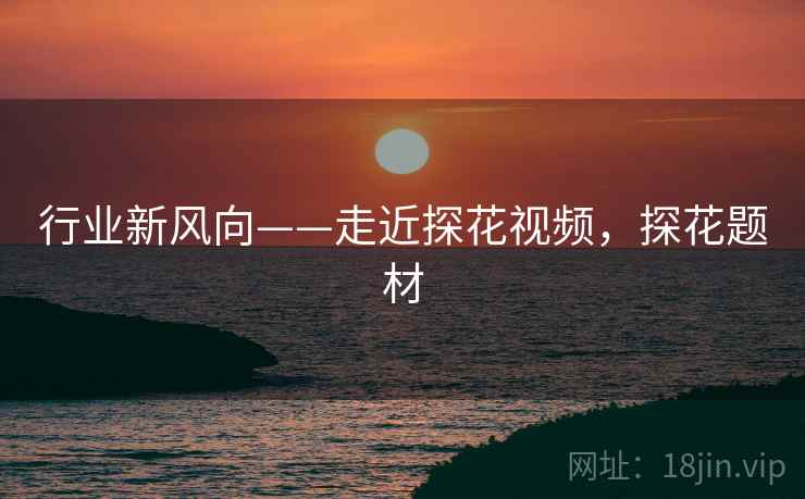 行业新风向——走近探花视频，探花题材  第1张