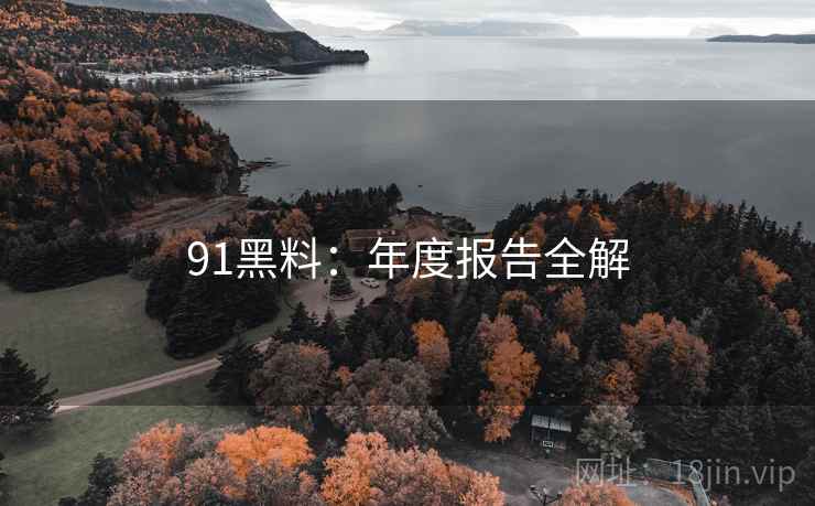 91黑料：年度报告全解  第2张