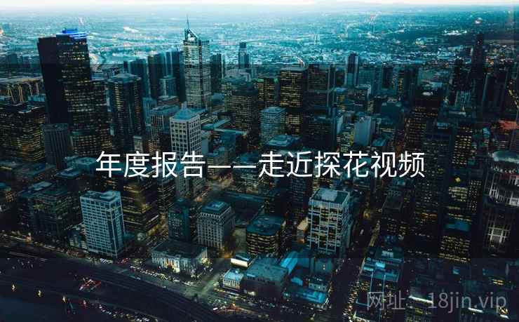 年度报告——走近探花视频  第2张