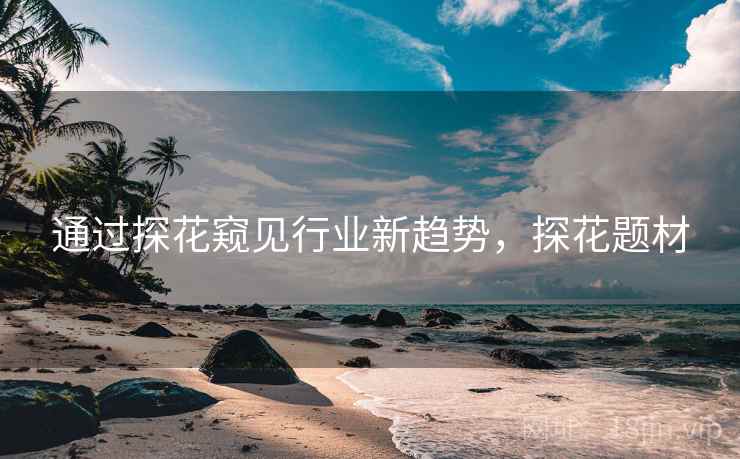 通过探花窥见行业新趋势，探花题材  第2张