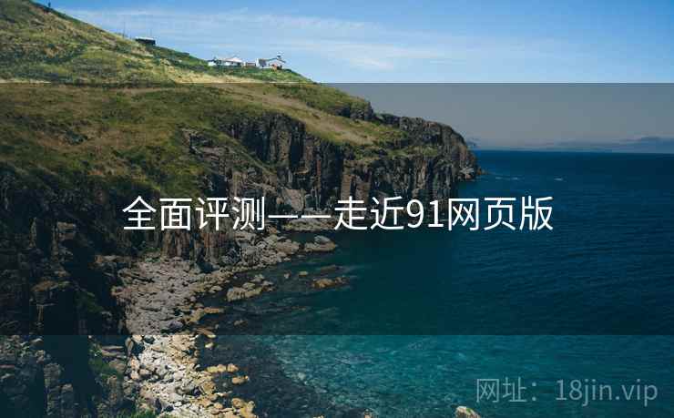 全面评测——走近91网页版  第1张