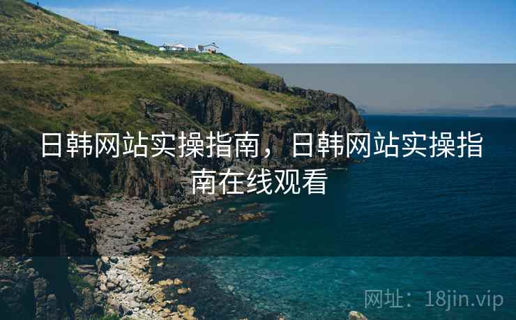 日韩网站实操指南，日韩网站实操指南在线观看  第1张