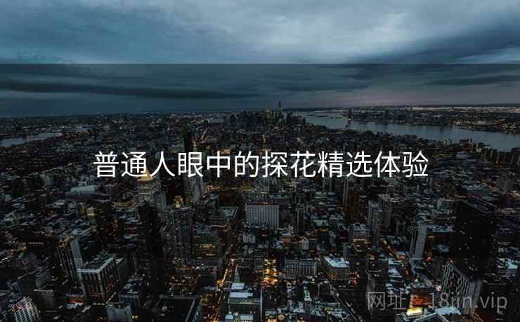 普通人眼中的探花精选体验  第2张