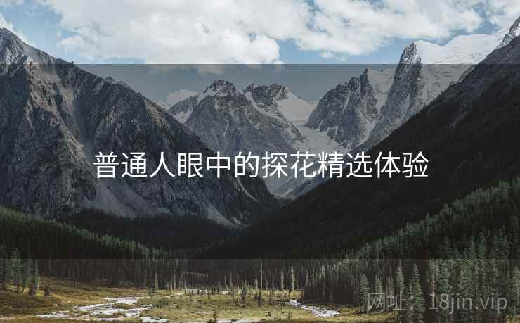 普通人眼中的探花精选体验  第1张