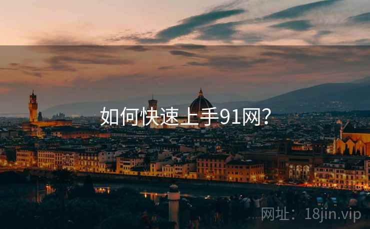 如何快速上手91网？  第1张