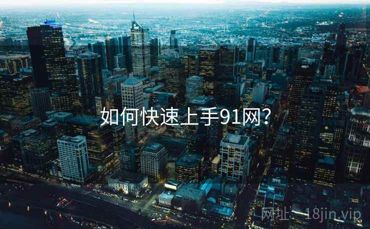 如何快速上手91网？  第2张