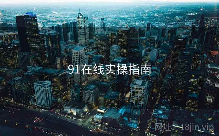91在线实操指南  第1张