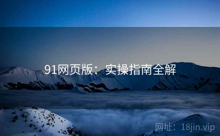 91网页版：实操指南全解  第1张