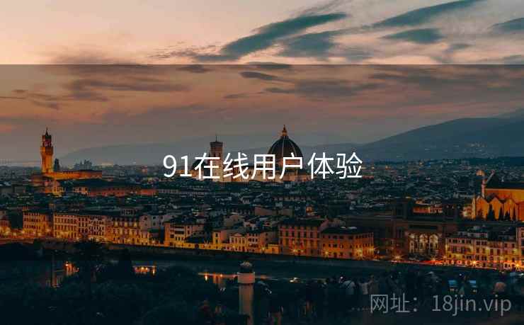 91在线用户体验  第1张
