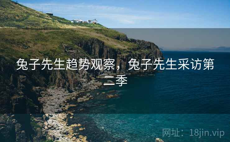 兔子先生趋势观察，兔子先生采访第二季  第1张
