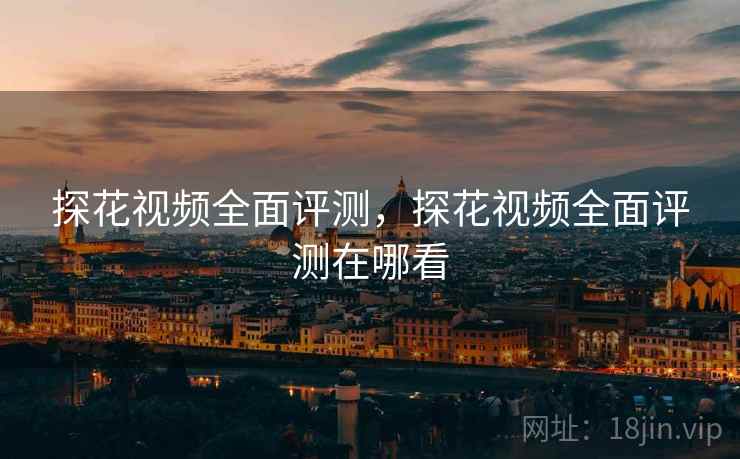 探花视频全面评测，探花视频全面评测在哪看  第2张