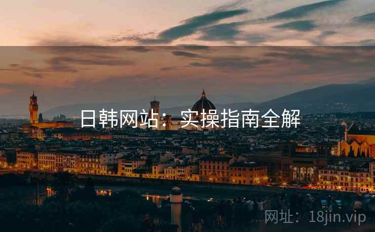 日韩网站：实操指南全解  第2张