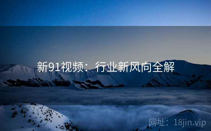 新91视频：行业新风向全解  第5张
