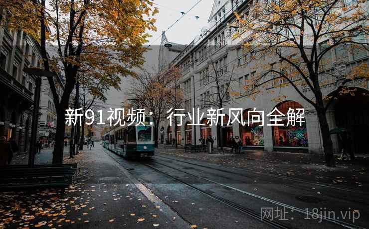 新91视频：行业新风向全解  第3张