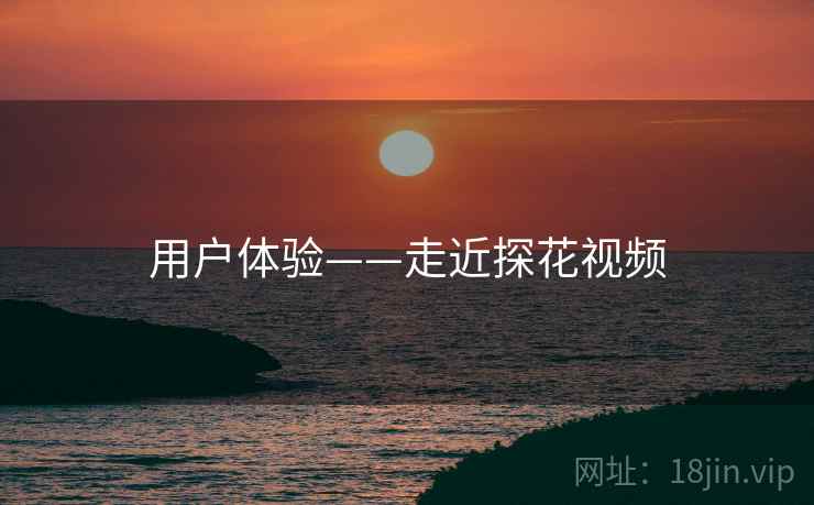 用户体验——走近探花视频  第2张