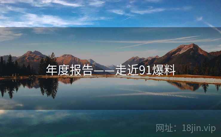 年度报告——走近91爆料  第2张