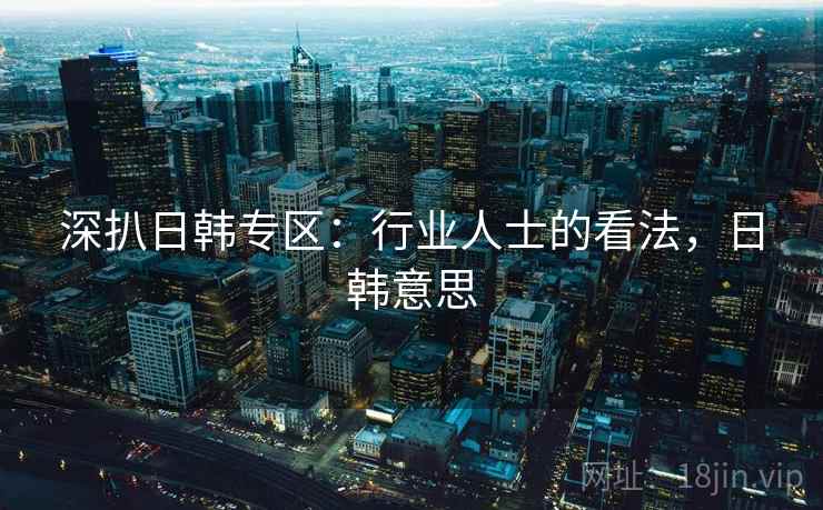 深扒日韩专区：行业人士的看法，日韩意思  第2张