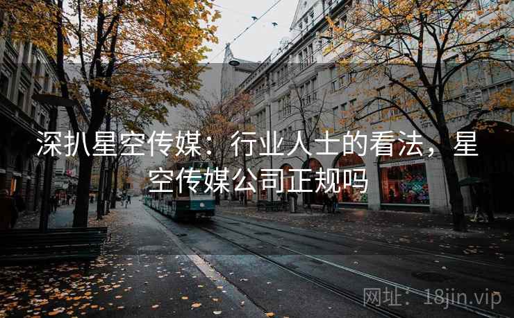 深扒星空传媒：行业人士的看法，星空传媒公司正规吗  第2张