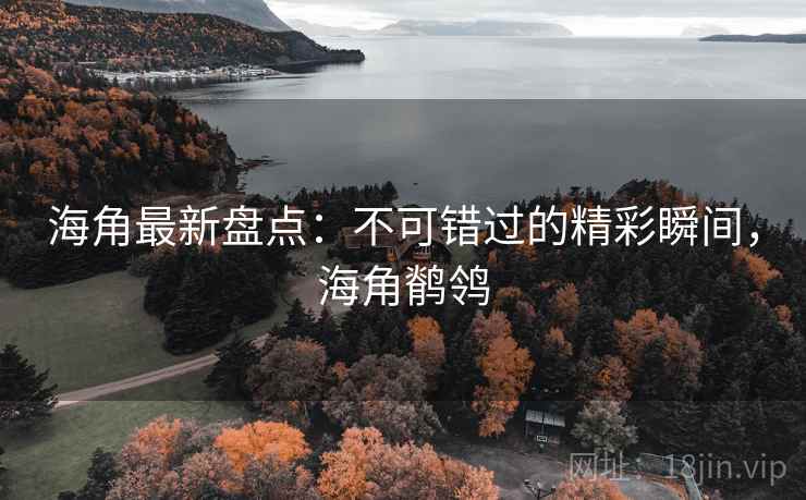 海角最新盘点：不可错过的精彩瞬间，海角鹡鸰  第1张