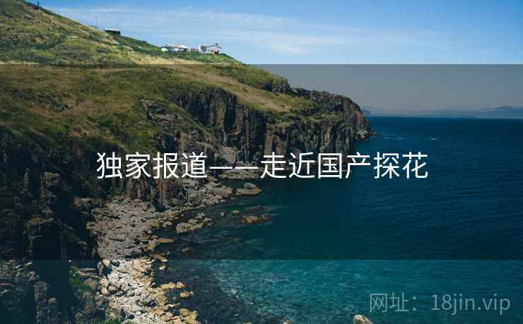 独家报道——走近国产探花  第2张