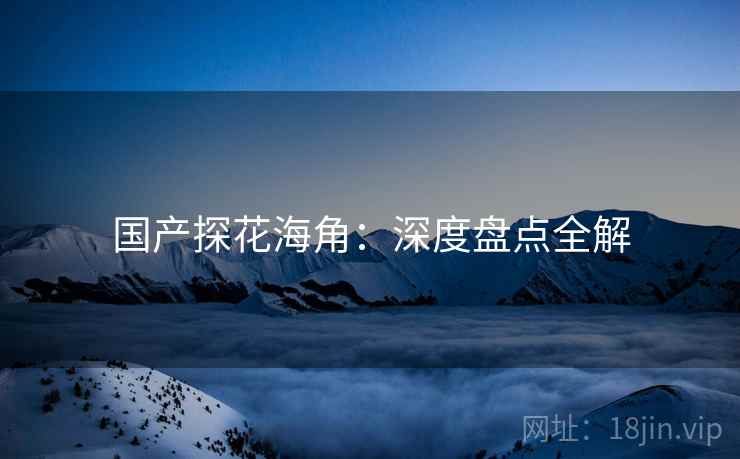 国产探花海角：深度盘点全解  第2张