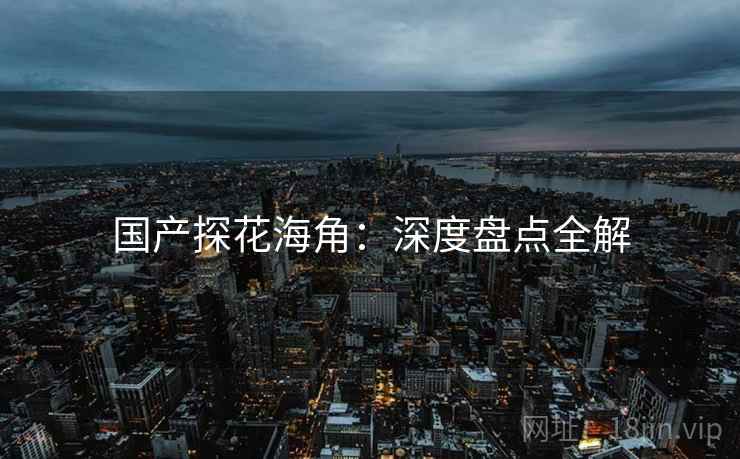 国产探花海角：深度盘点全解  第1张