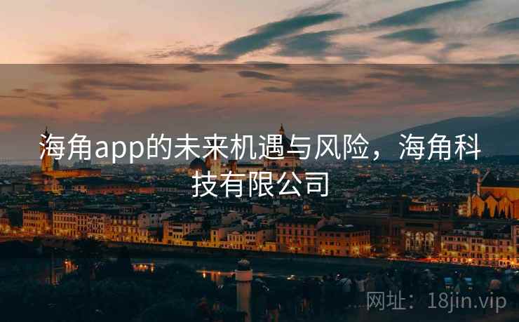海角app的未来机遇与风险，海角科技有限公司  第2张
