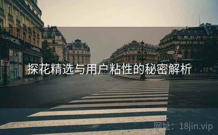 探花精选与用户粘性的秘密解析  第2张
