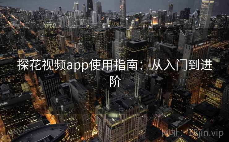 探花视频app使用指南：从入门到进阶  第2张