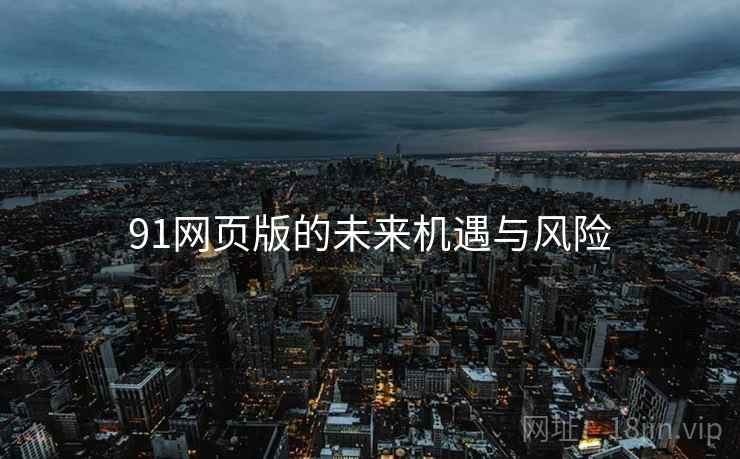 91网页版的未来机遇与风险