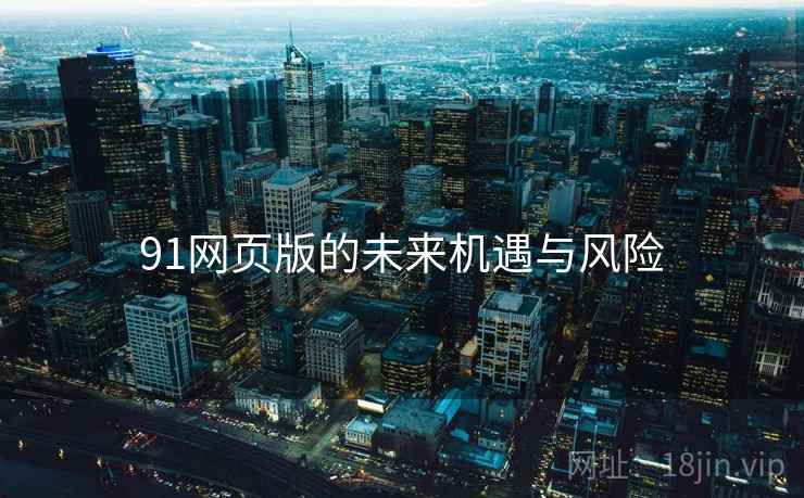 91网页版的未来机遇与风险