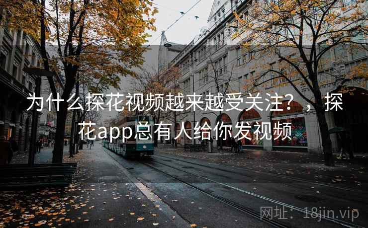 为什么探花视频越来越受关注？，探花app总有人给你发视频  第2张